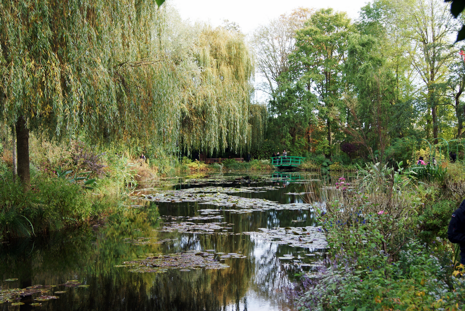 le lac de monnet