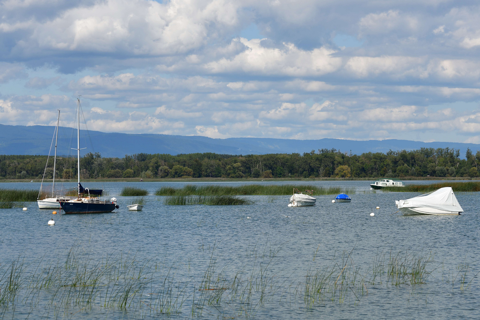 Le lac de Morat ...