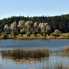 Le lac de Remoray - Doubs