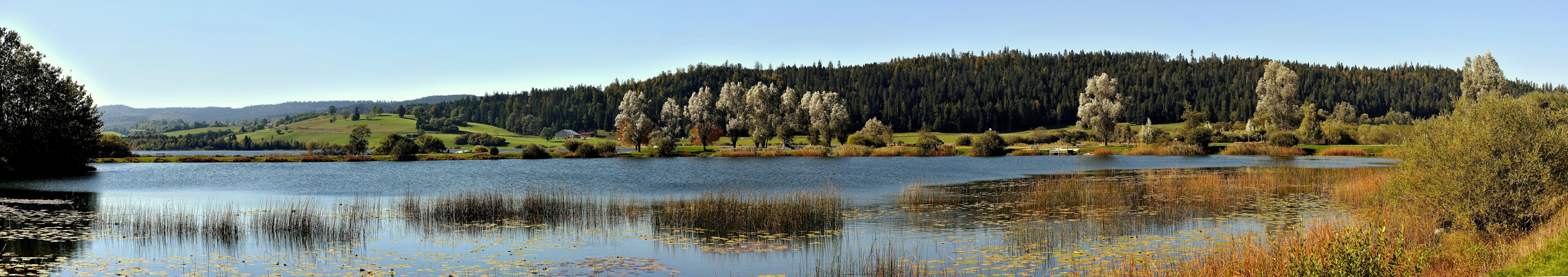 Le lac de Remoray - Doubs