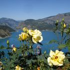 le lac de serre poncon