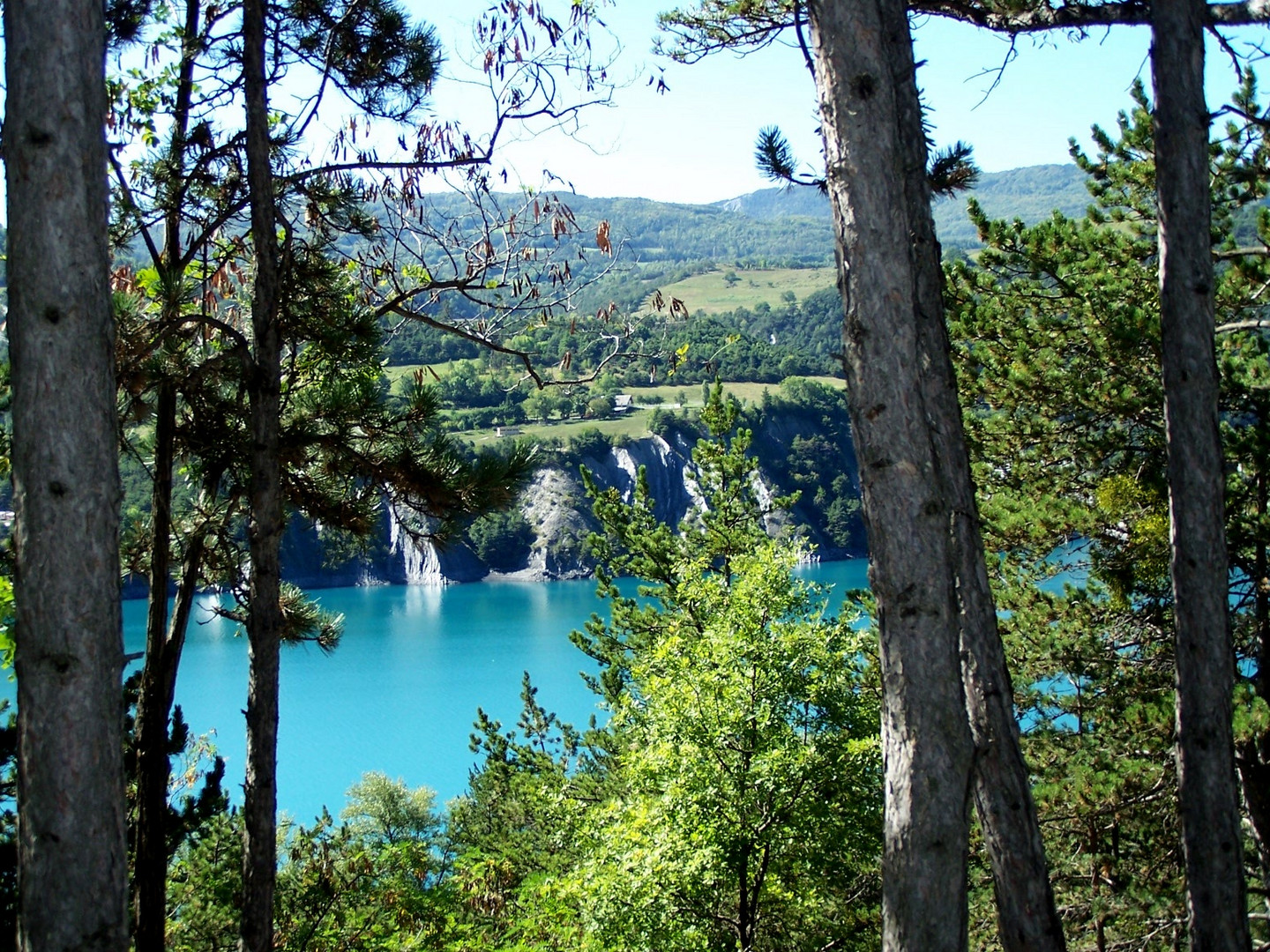 Le lac de Serre-Ponçon à travers les mélèzes