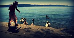 Le Lac de Starnberg (Munich)