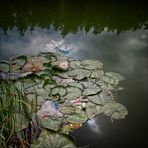 Le Lac de Thorenc 