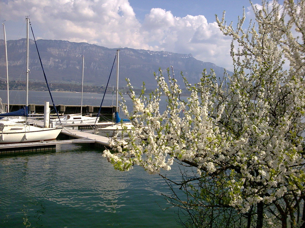 Le lac décongèle alors que els bourgeons éclosent ! =)