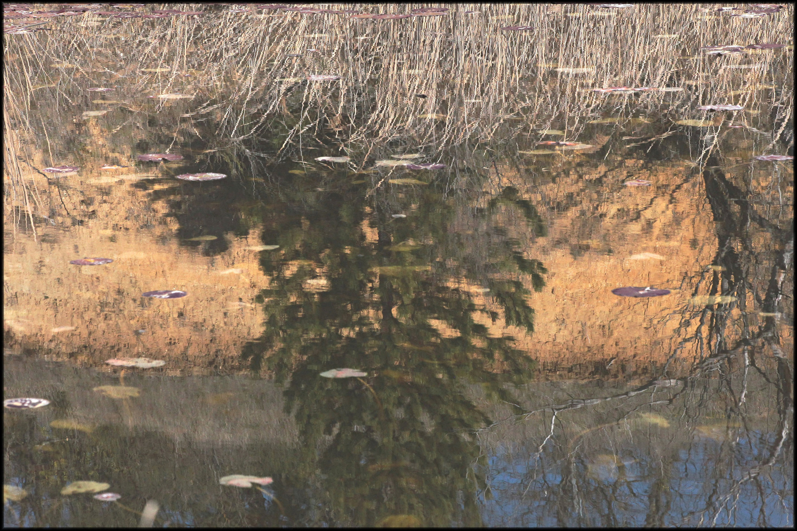 LE LAC DES ARGILES MORMOIRON (10)