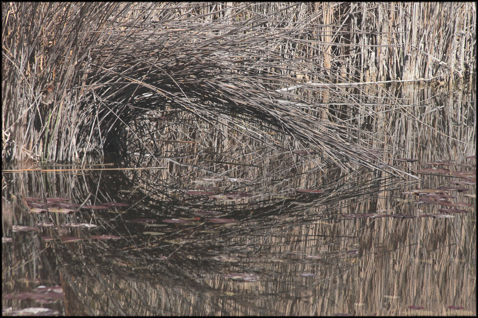 LE LAC DES ARGILES MORMOIRON (14)