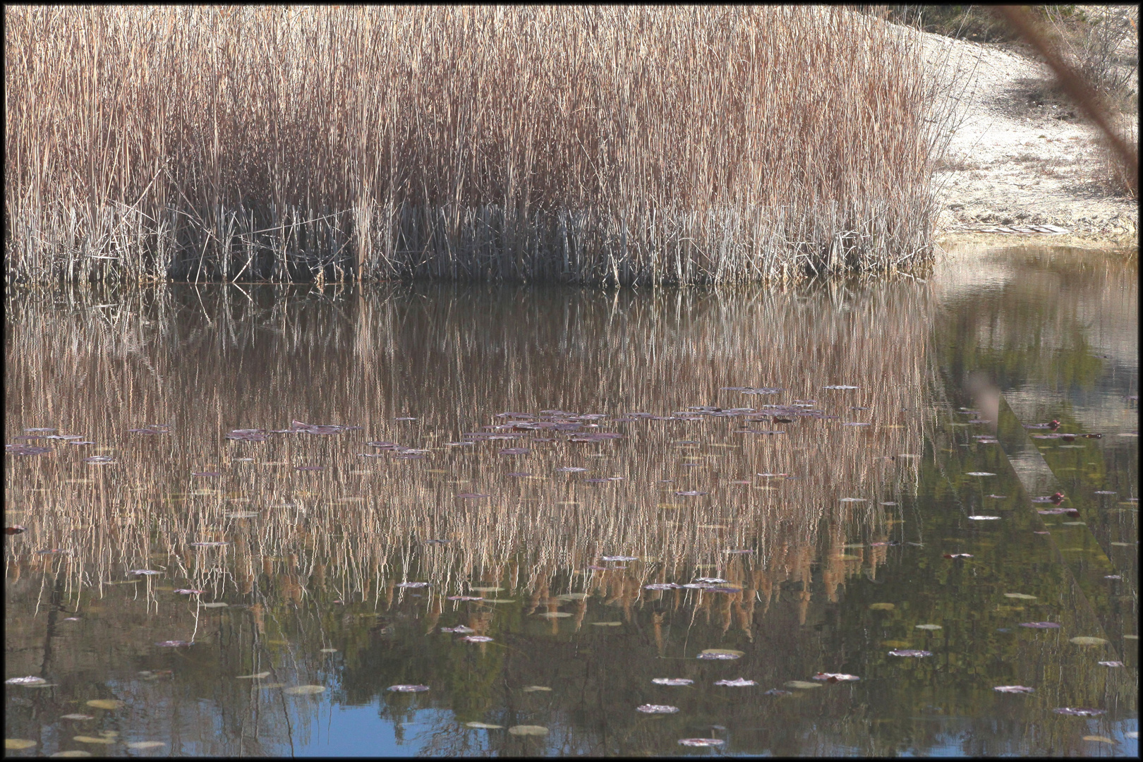 LE LAC DES ARGILES MORMOIRON (2)