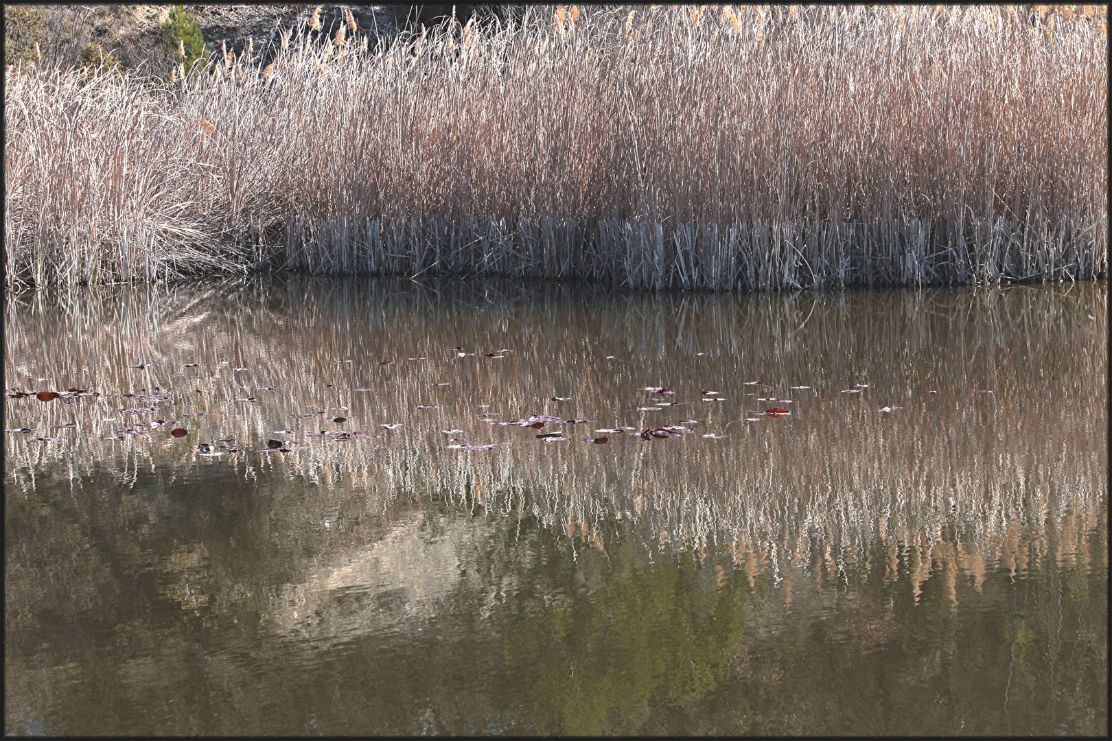 LE LAC DES ARGILES MORMOIRON (3)