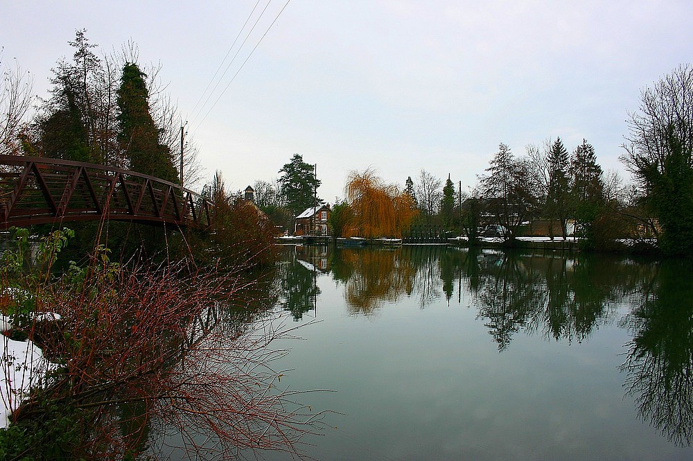 Le lac des cygnes..