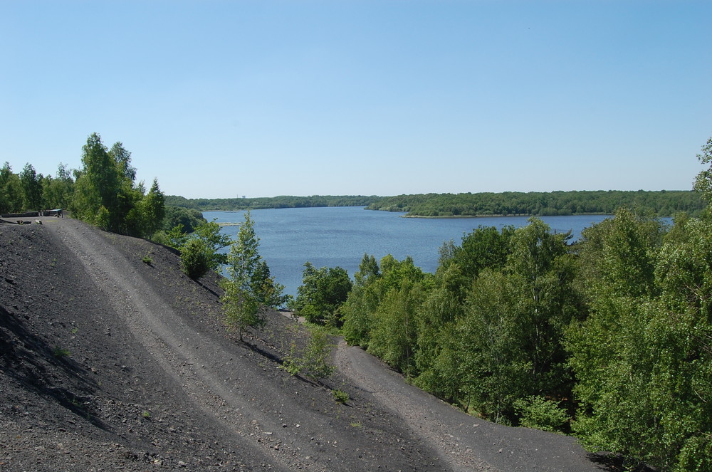 Le lac des terrils