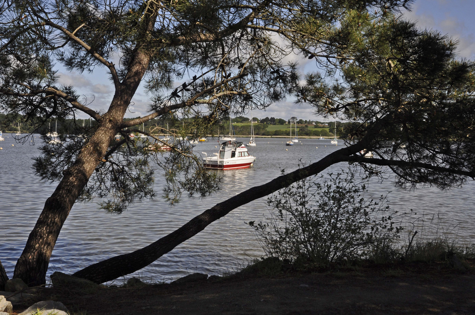 le lac du barrage ! au porte du morbihan !