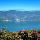 Le Lac du Bourget et le Mont Blanc