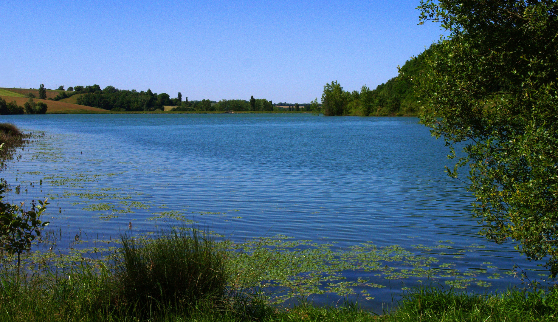 Le lac du Bousquetara (CaussensGers) Der BousquetaraSee (Caussens