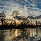 Le lac du cygne