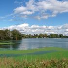 Le lac du Héron de Villeneuve d'Ascq