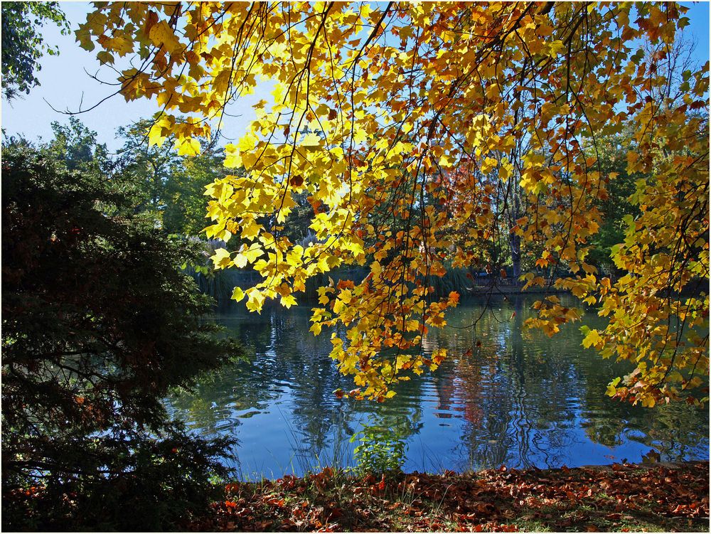 Le lac du Jardin Massey à Tarbes