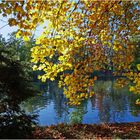 Le lac du Jardin Massey à Tarbes