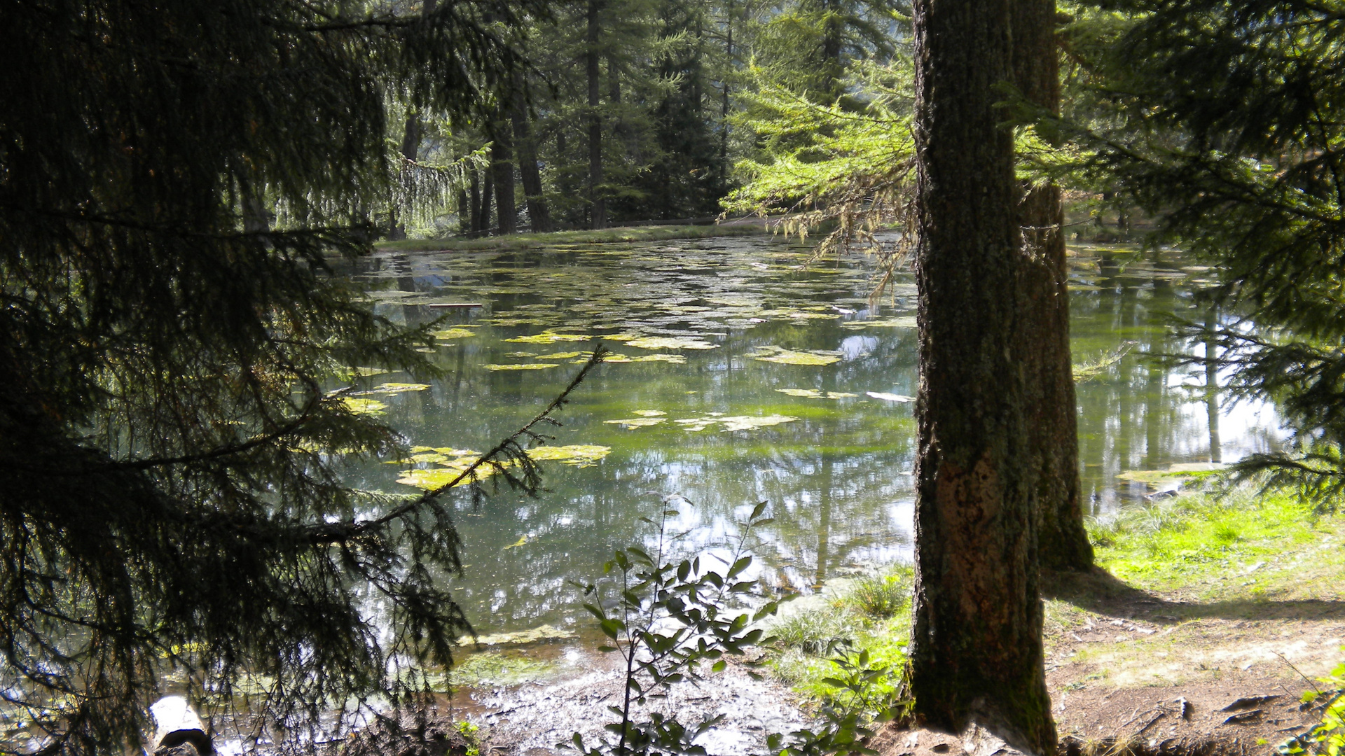 Le lac du Lauzerot