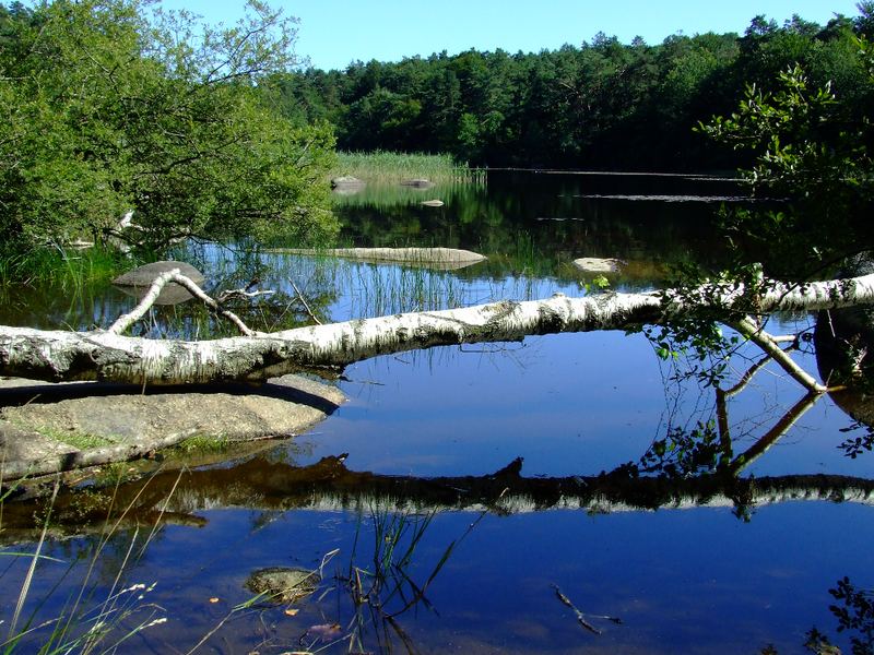 Le lac du Merle