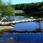 Le lac du Merle