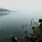 Le lac du pêcher un jour de pluie 
