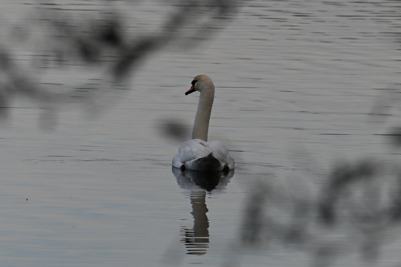 Le lac d'Uza