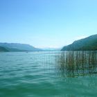 le lac en arrivant par le canal de saviere