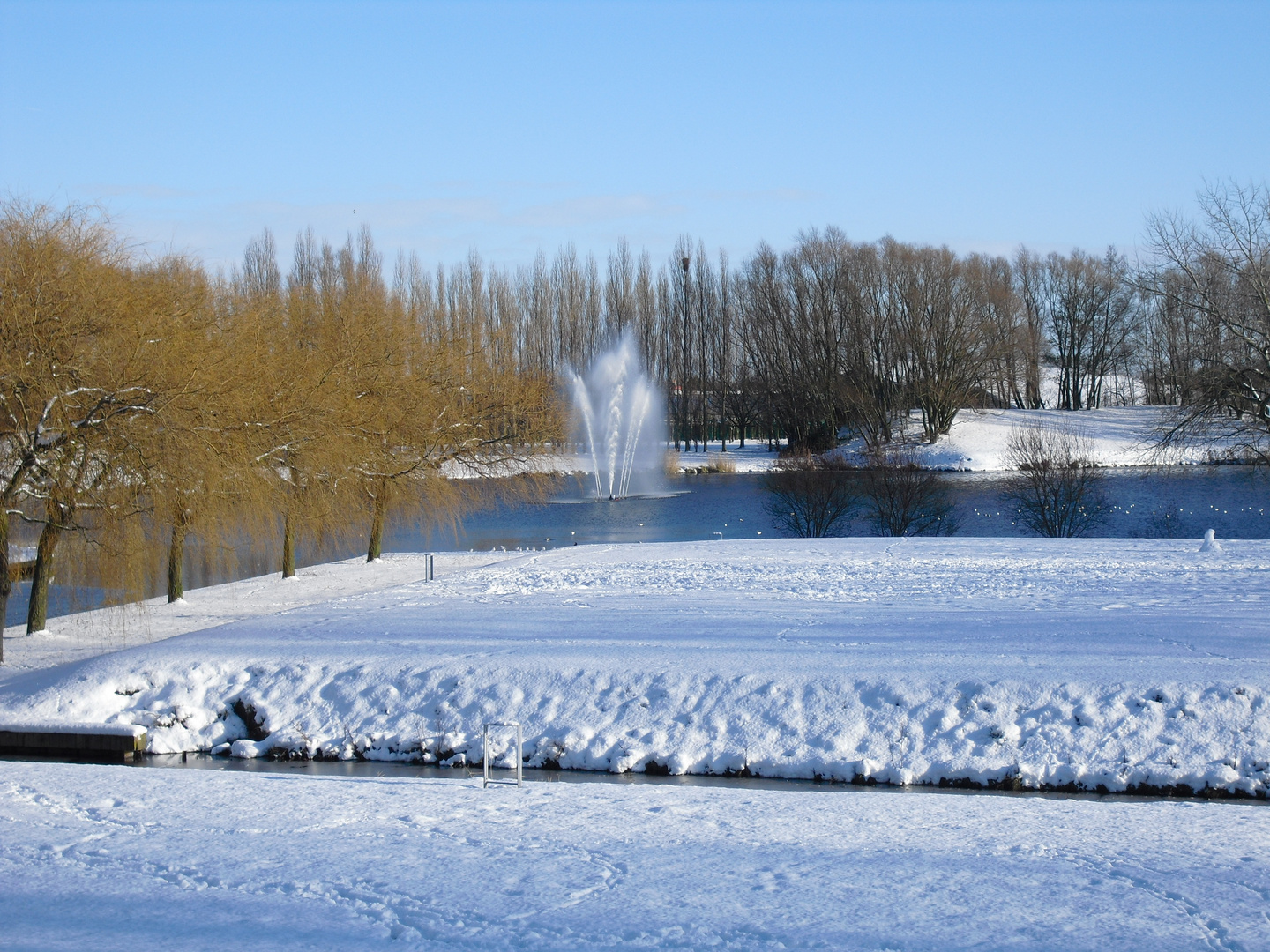 le lac en décembre