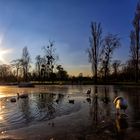 Le lac en hiver