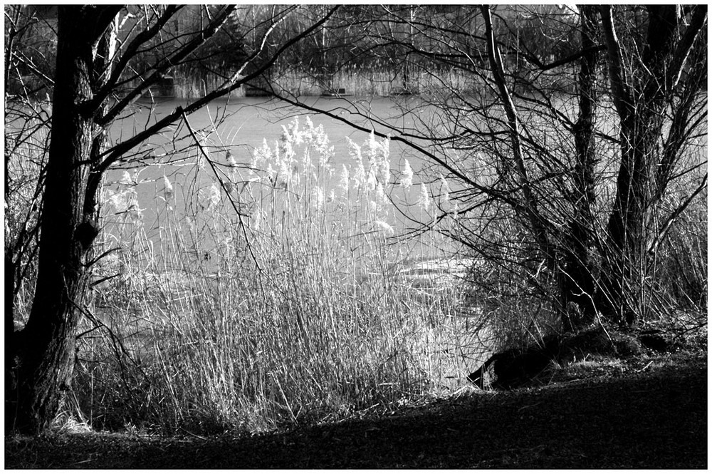 Le lac en hiver