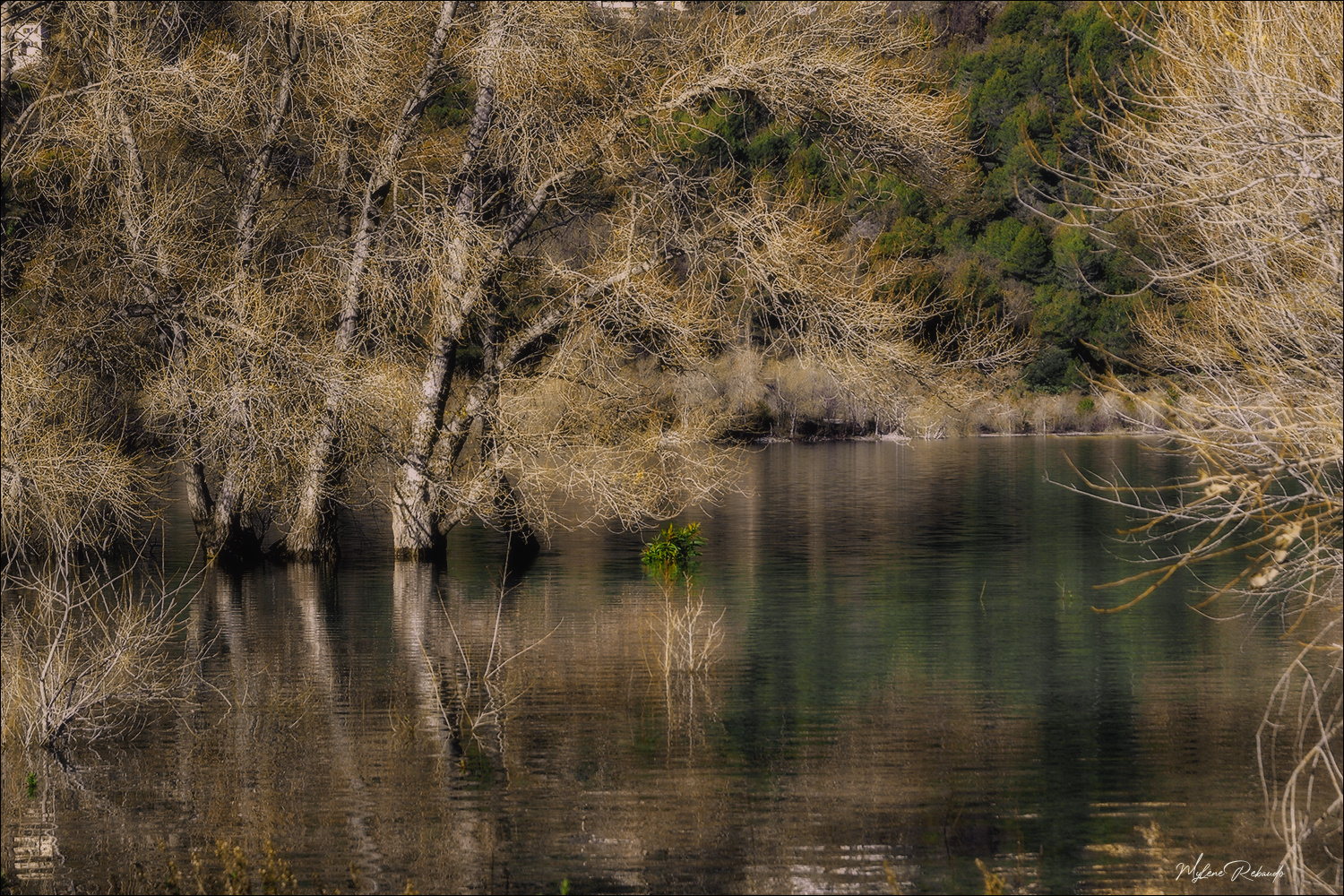 Le lac et ses reflets