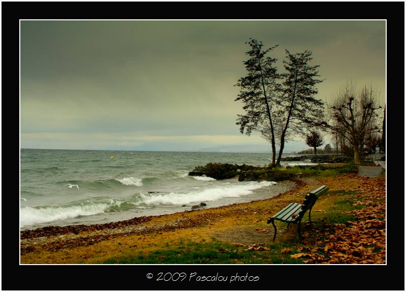 Le lac Léman