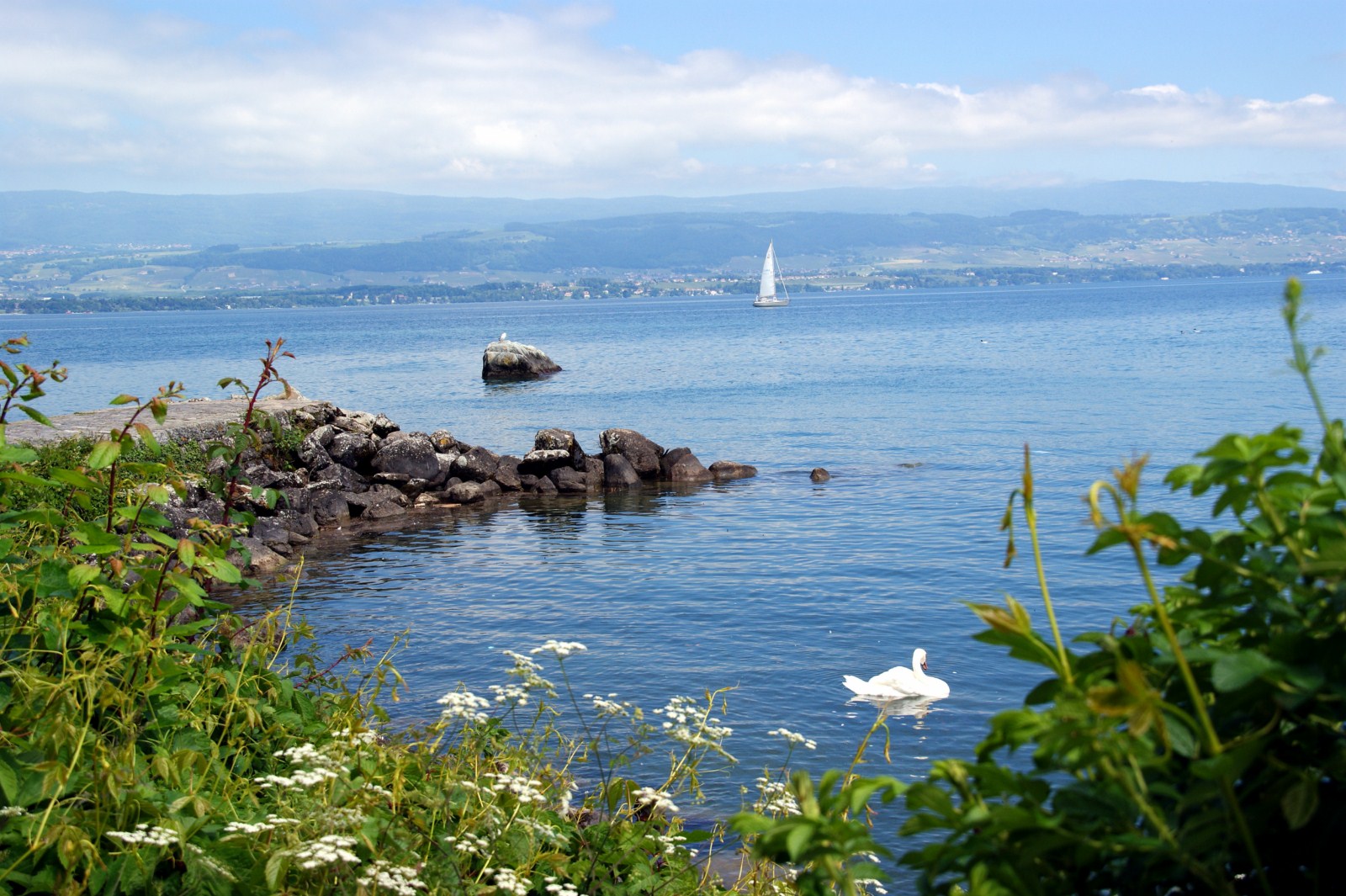 Le Lac Léman à Yvoire