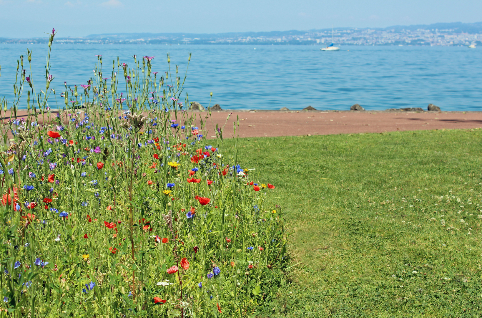 le Lac Léman