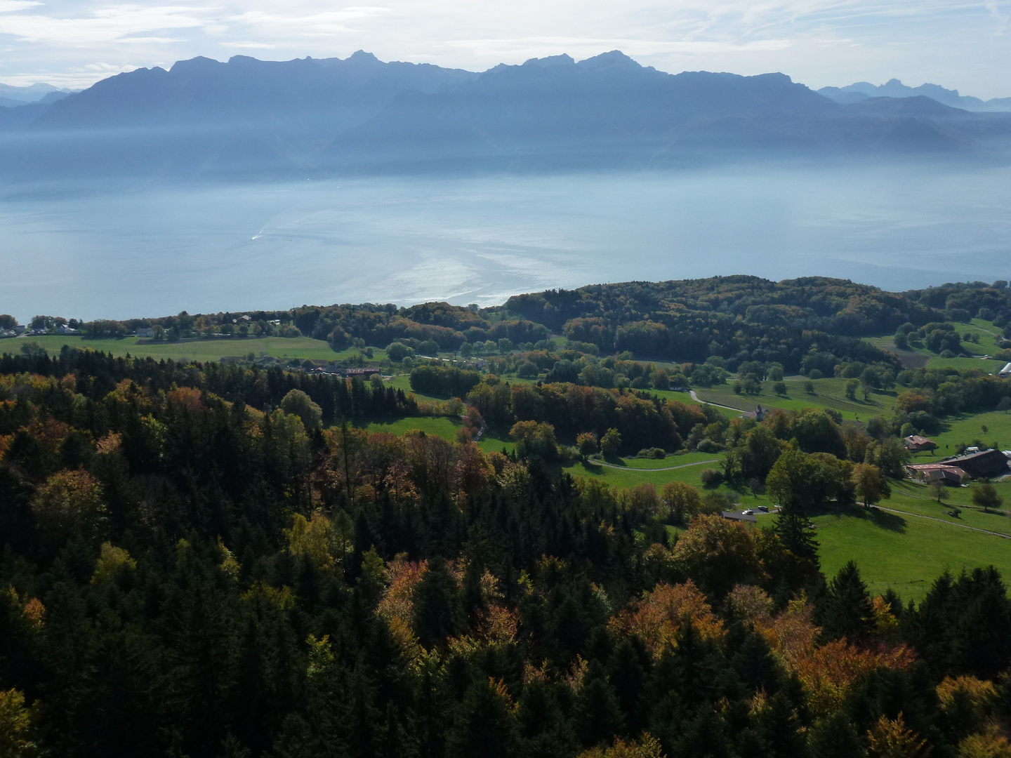 Le Lac Léman depuis le Mont-Pélerin (Suisse - Vaud)