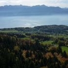 Le Lac Léman depuis le Mont-Pélerin (Suisse - Vaud)