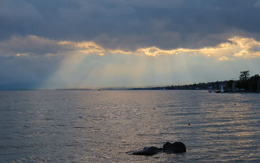 Le lac Léman II
