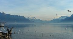 le lac Léman , par  un beau jour d'Hiver