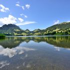 Le lac noir (Suisse)