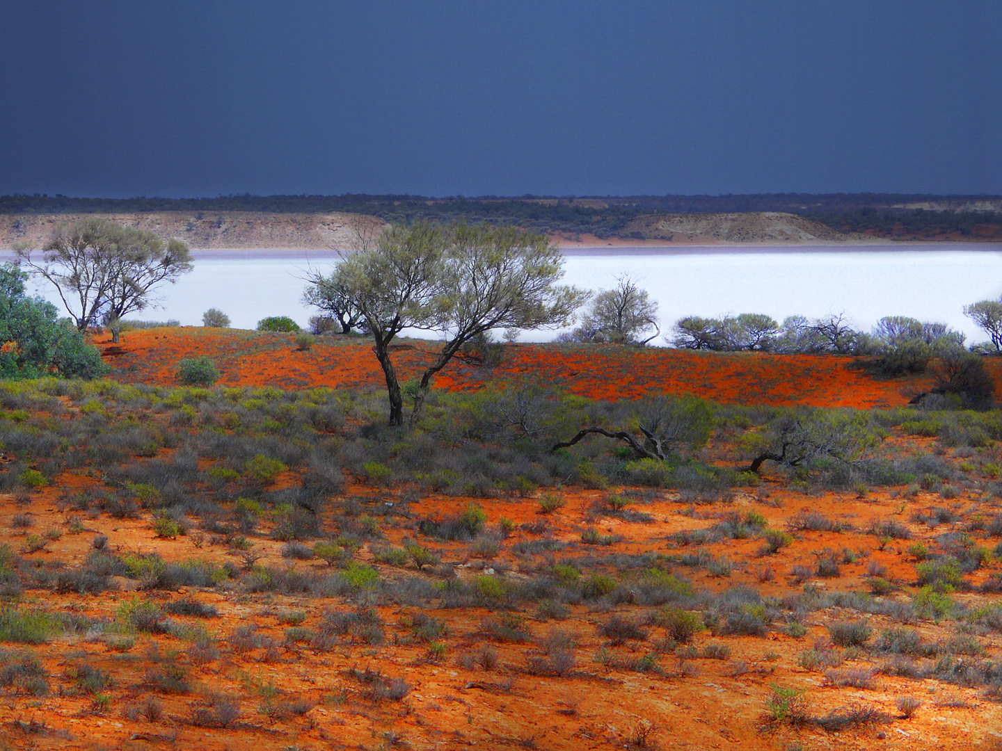 Le lac sale Hart bush australien!