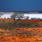 Le lac sale Hart bush australien!