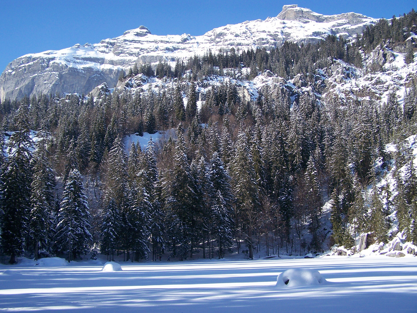 Le lac vert enneigé...