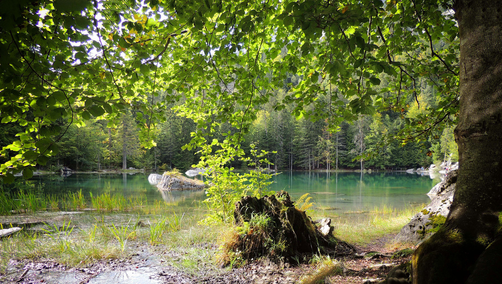 Le lac vert, plateau d'Assy