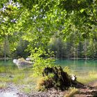 Le lac vert, plateau d'Assy