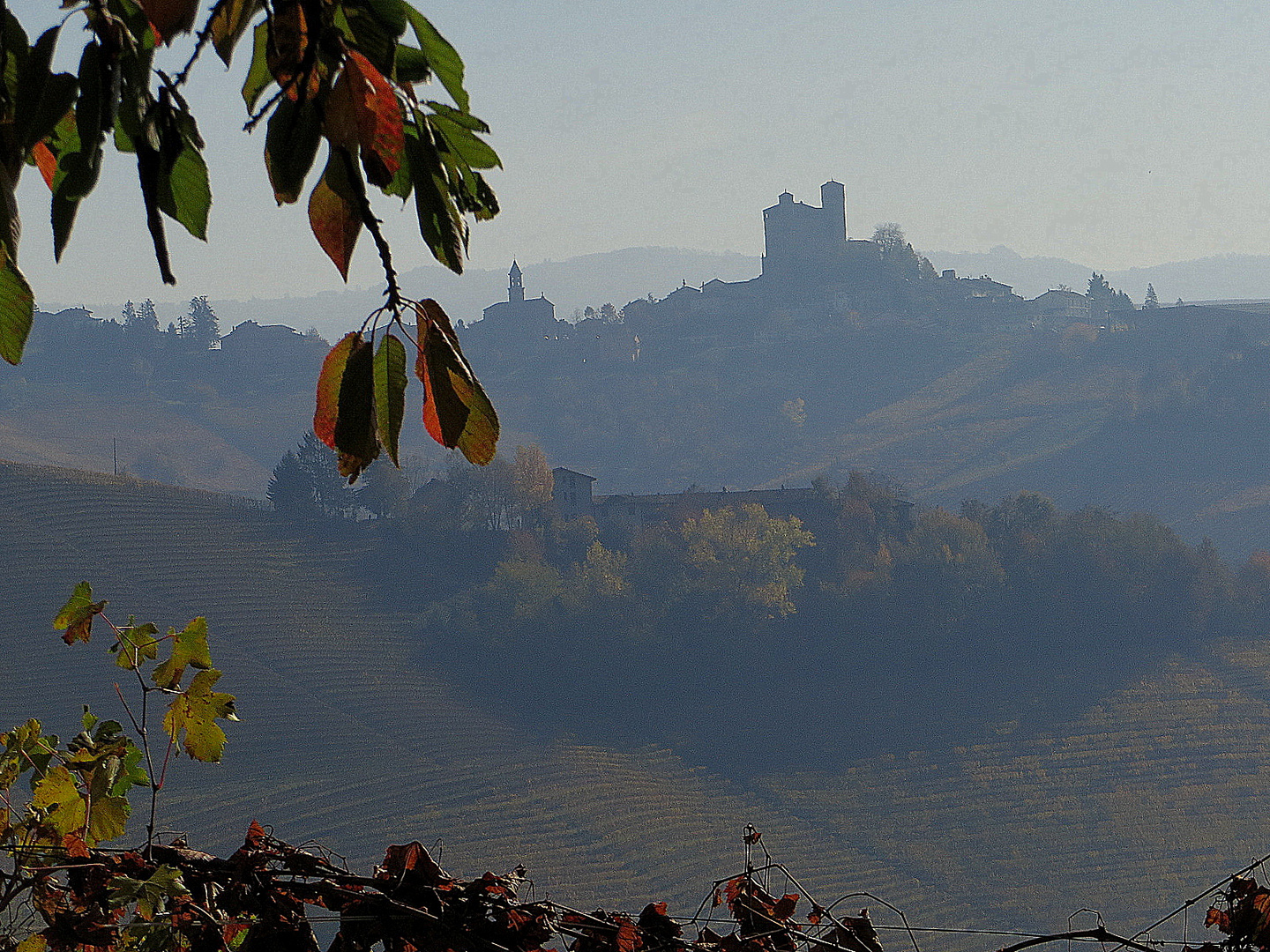 Le Langhe