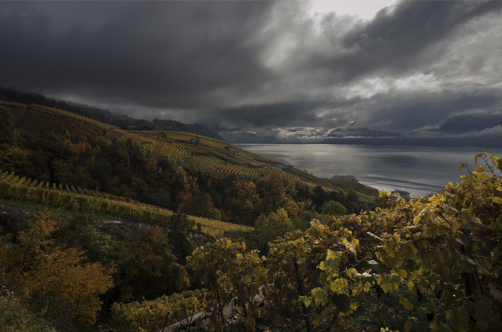 Le Lavaux, Vaud, Suisse.