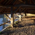 le lavoir.