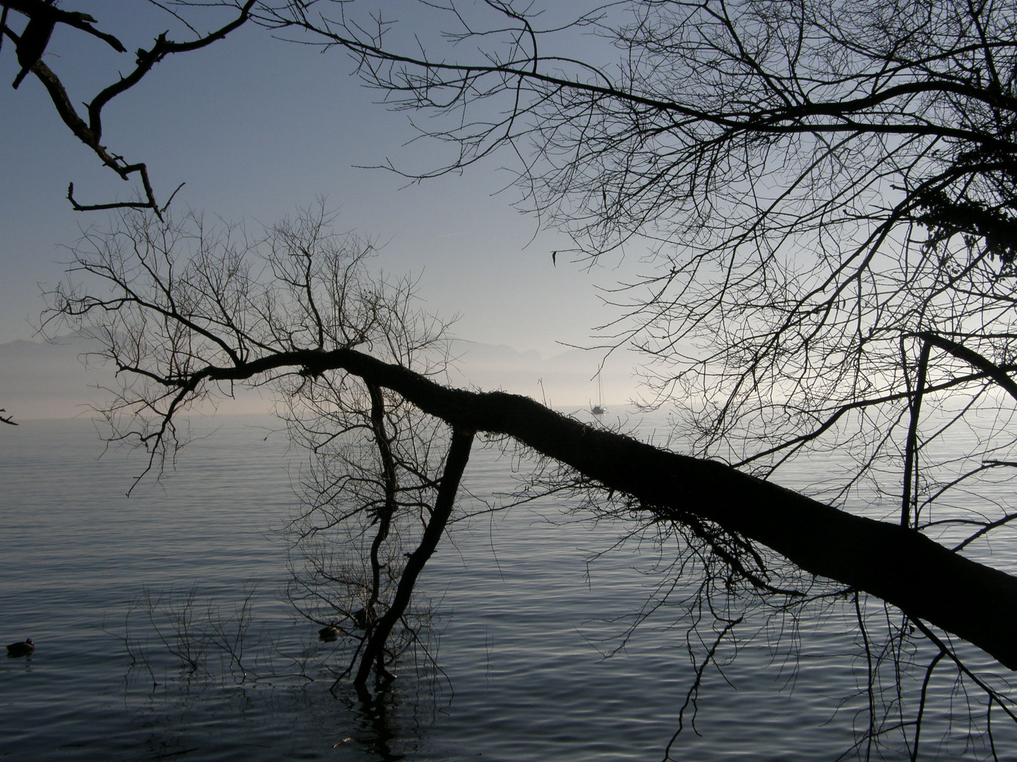 Le Léman en hiver