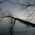 Le Léman en hiver